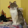 Отзыв от Полина Селиванова